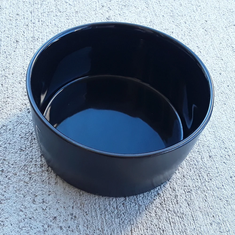Rae Dunn Scary Cute Pet Bowl